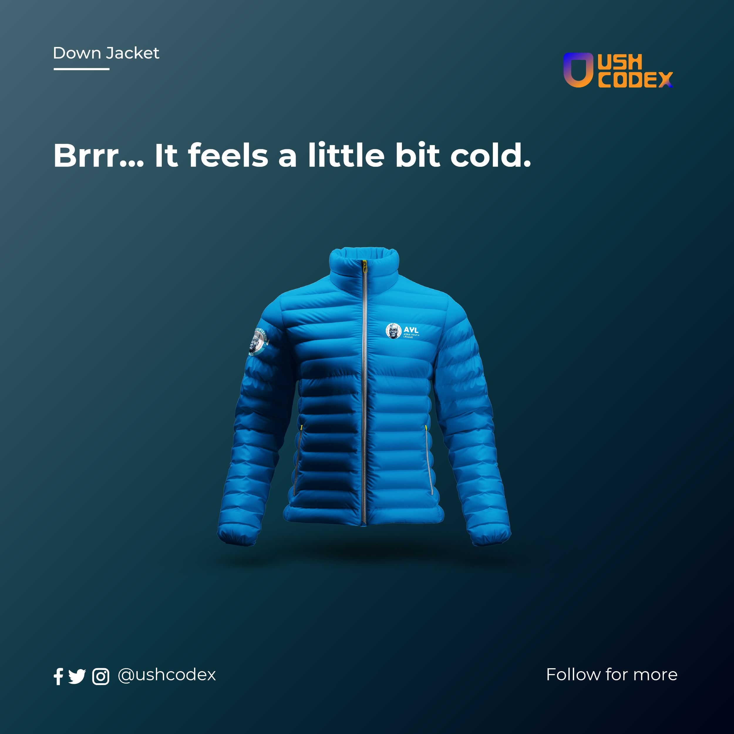 Atiku Youth League (AYL)